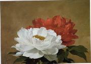 unknow artist Still life floral, all kinds of reality flowers oil painting 34 USA oil painting artist